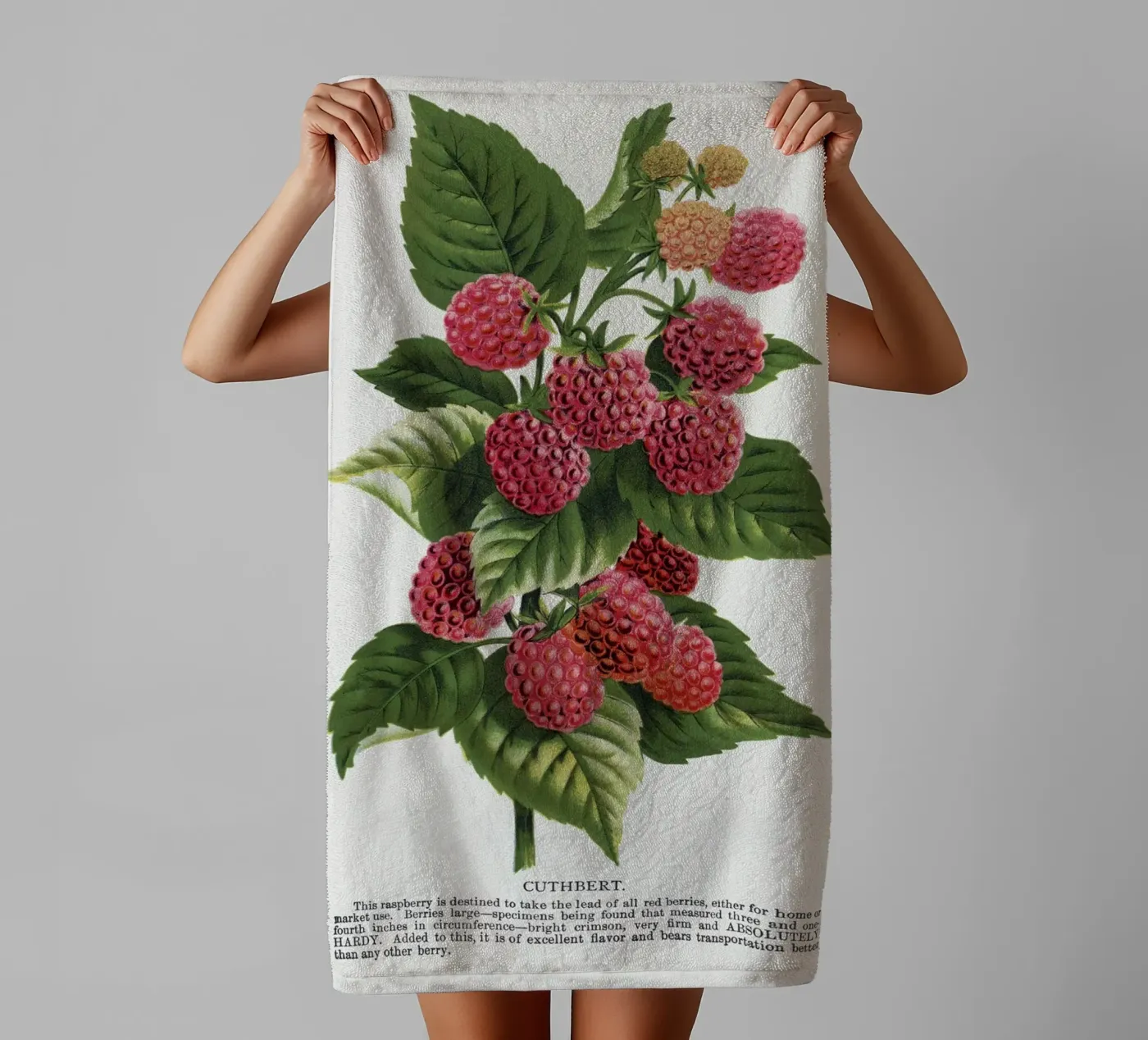 Cuthbert raspberry asciugamano da bagno da vintageshop