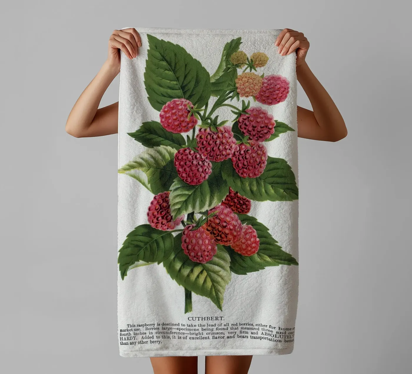 Cuthbert raspberry towel by vintageshop