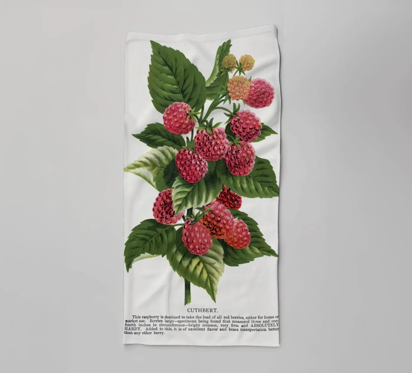 Cuthbert raspberry towel by vintageshop