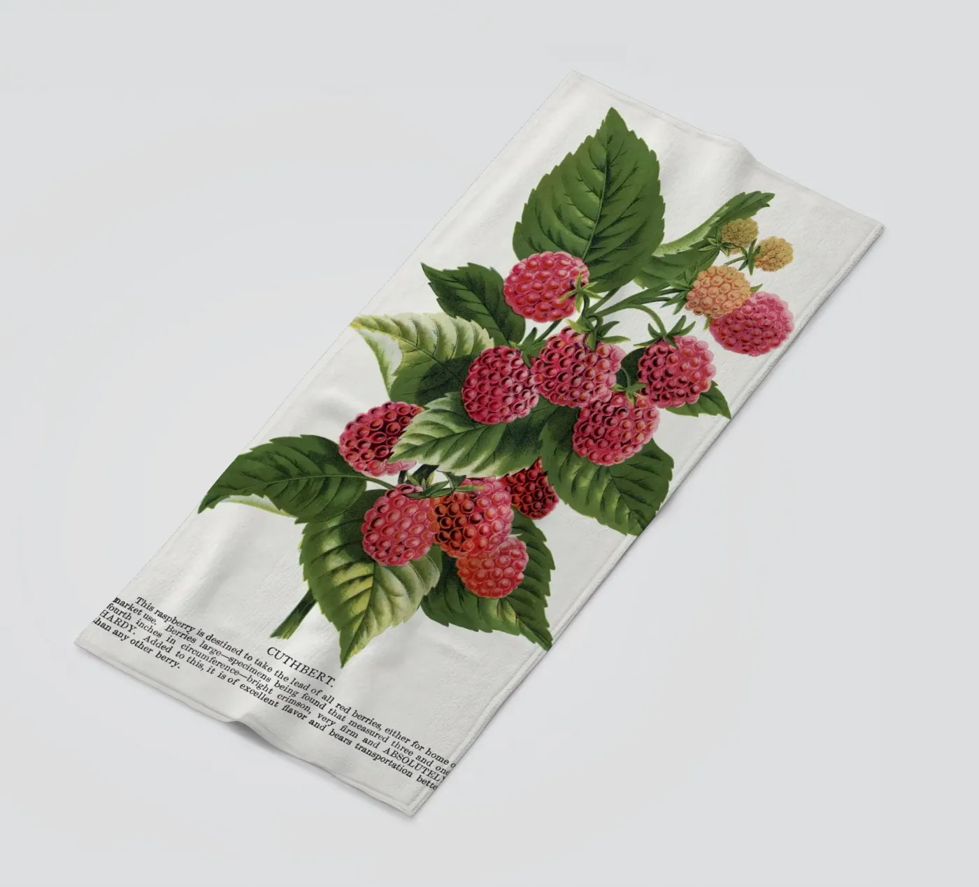 Cuthbert raspberry strandhanddoek van vintageshop