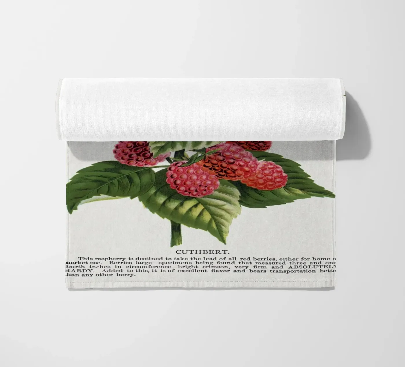 Cuthbert raspberry strandhanddoek van vintageshop