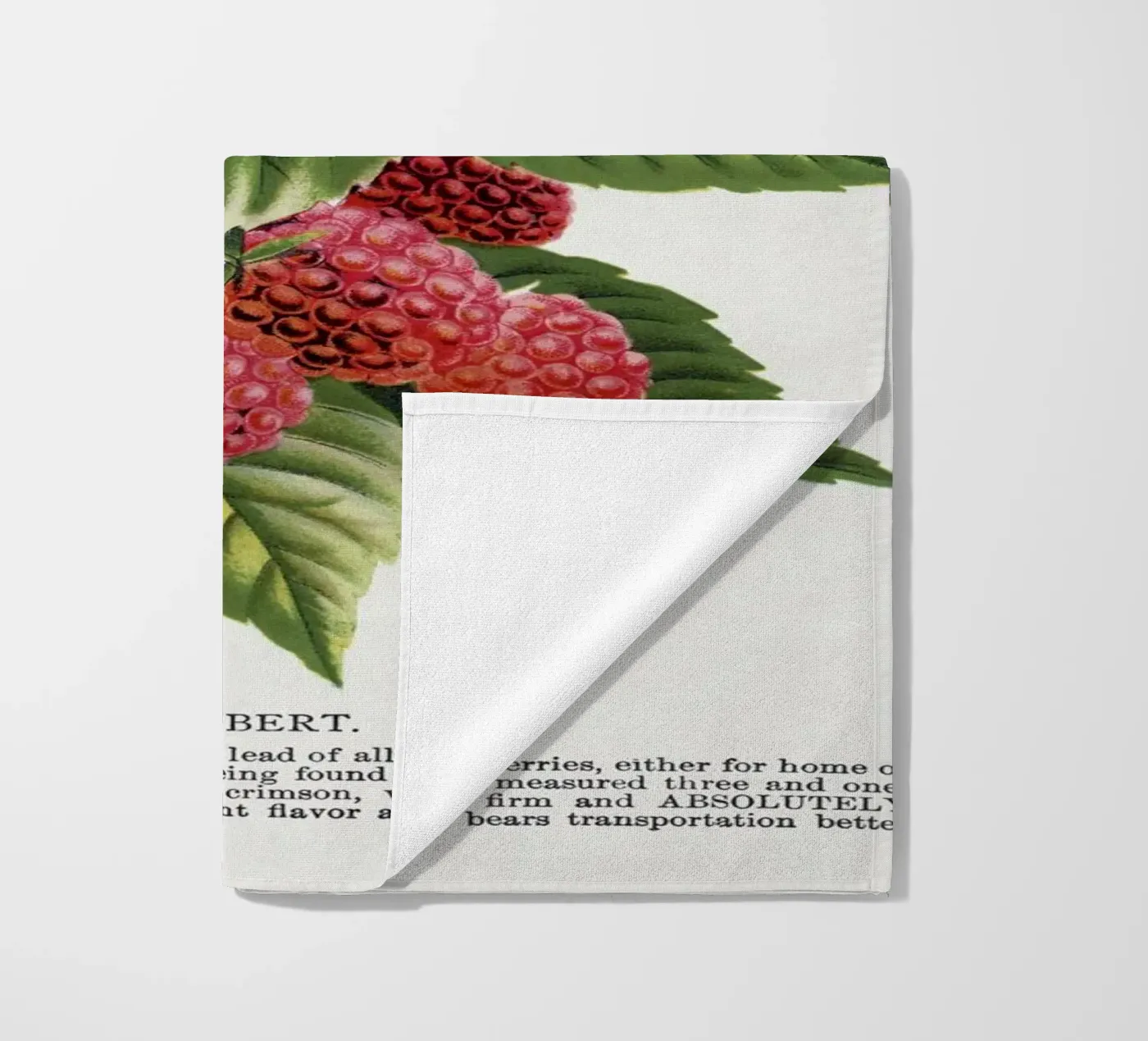 Cuthbert raspberry strandhanddoek van vintageshop