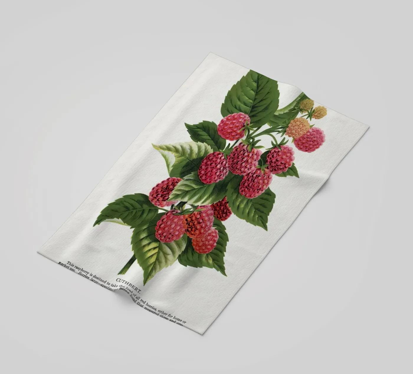 Cuthbert raspberry strandhanddoek van vintageshop