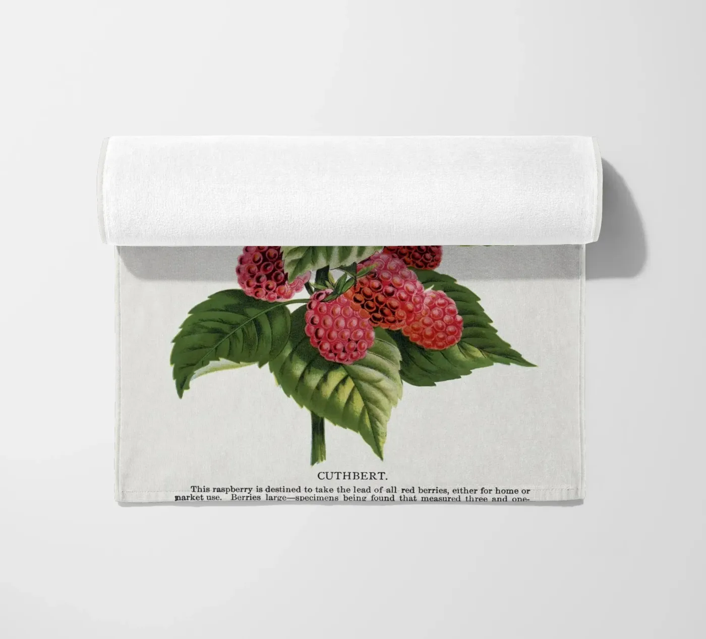 Cuthbert raspberry strandhanddoek van vintageshop