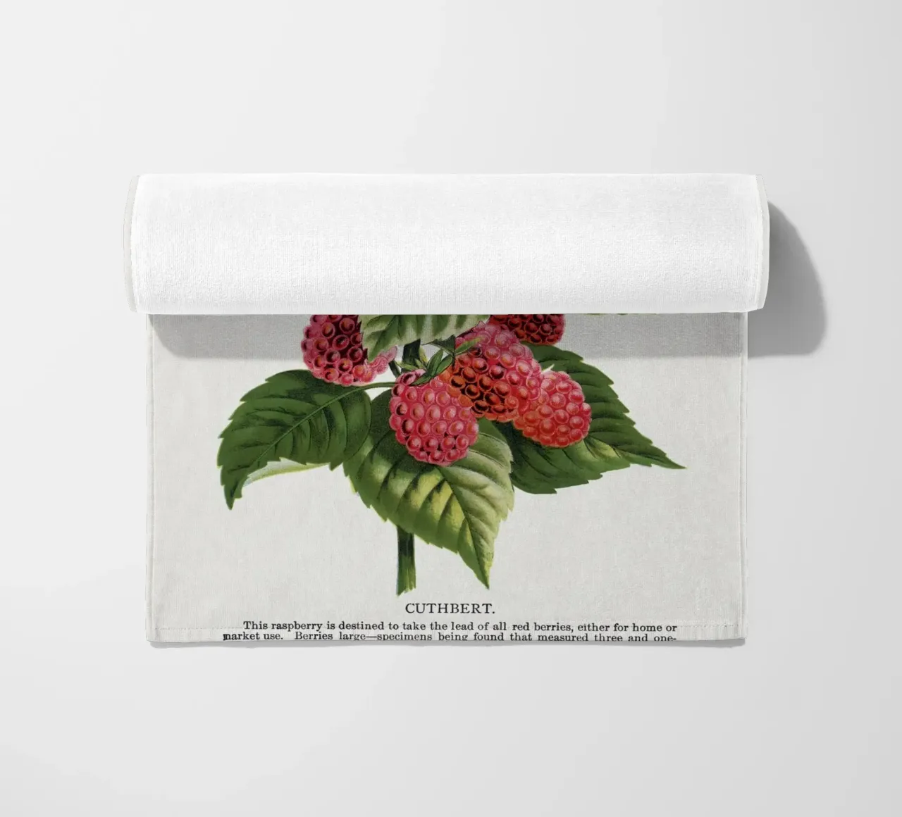 Cuthbert raspberry telo mare da vintageshop