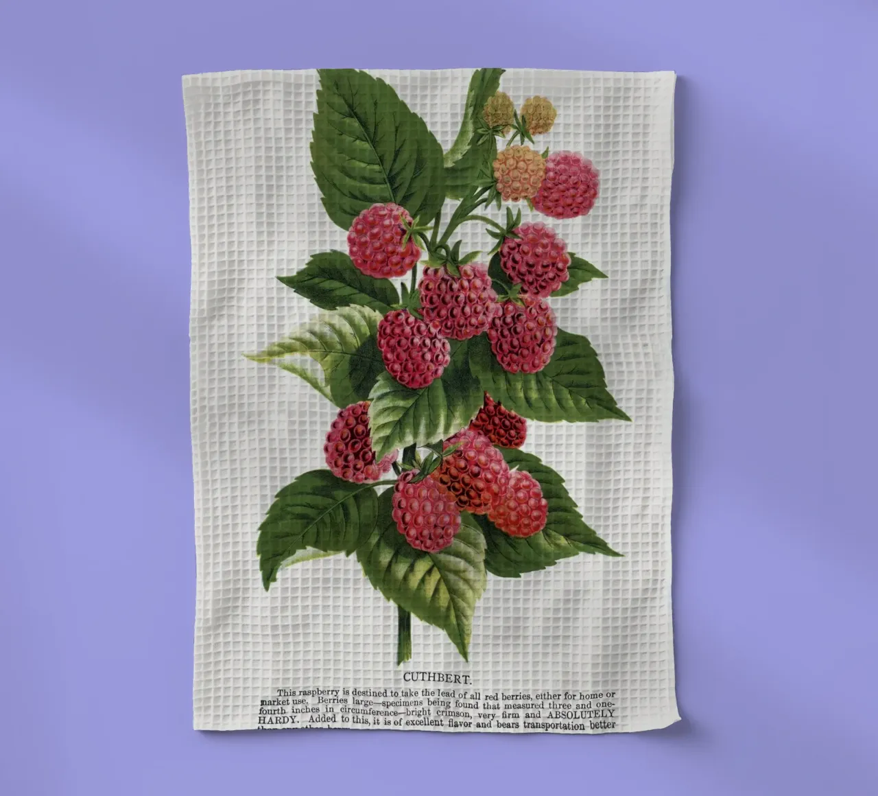Cuthbert raspberry canovaccio da cucina da vintageshop