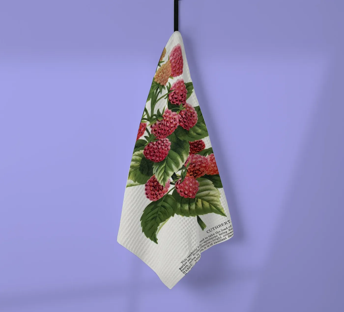 Cuthbert raspberry tea towel by vintageshop