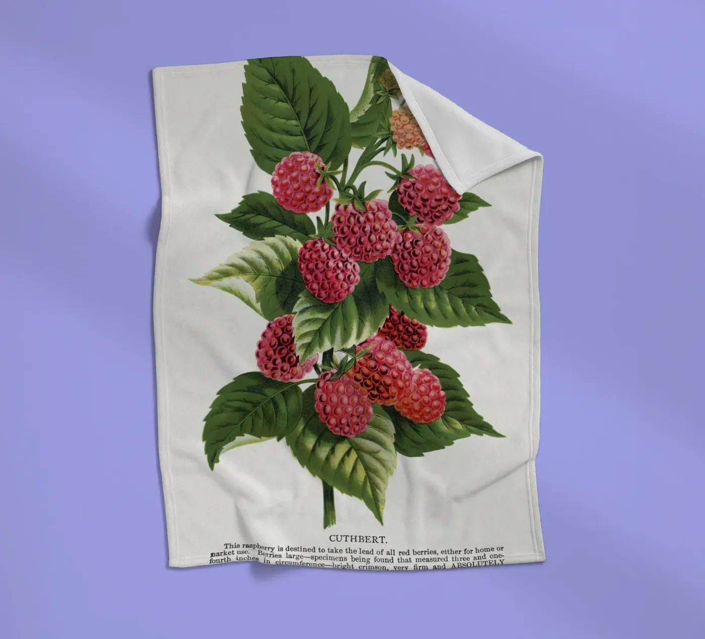 Cuthbert raspberry Fleecedecke von vintageshop