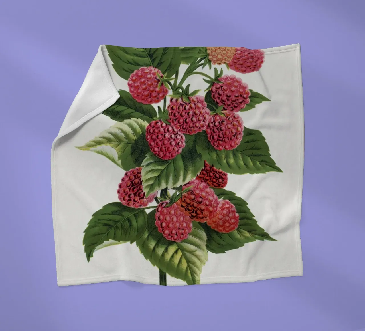 Cuthbert raspberry coperta in pile da vintageshop