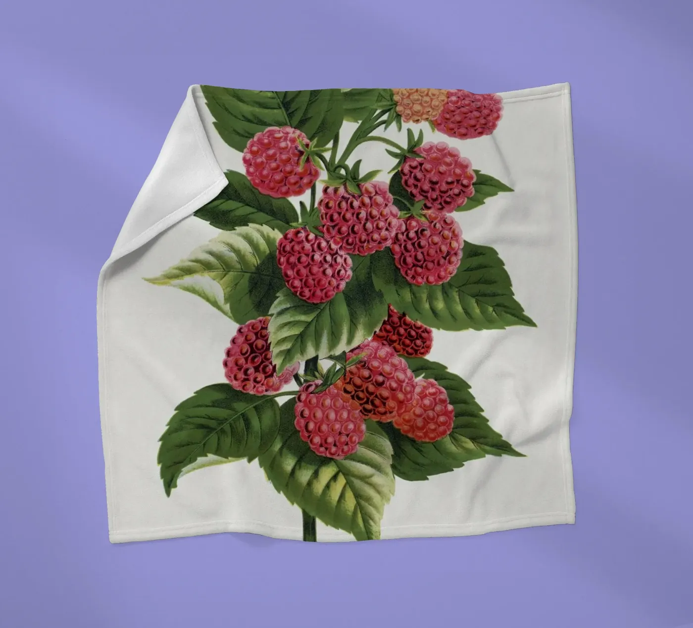 Cuthbert raspberry fleecedeken van vintageshop