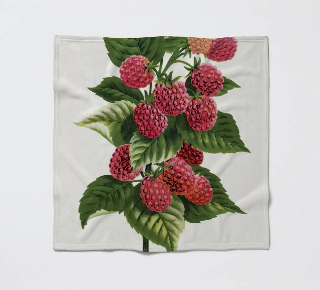 Cuthbert raspberry coperta in pile da vintageshop