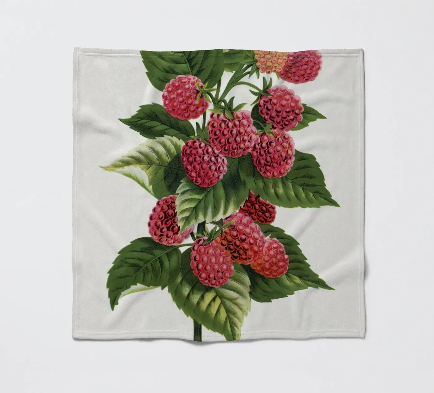 Cuthbert raspberry Fleecedecke von vintageshop