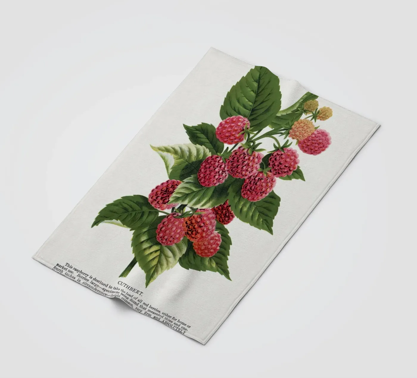 Cuthbert raspberry Fleecedecke von vintageshop