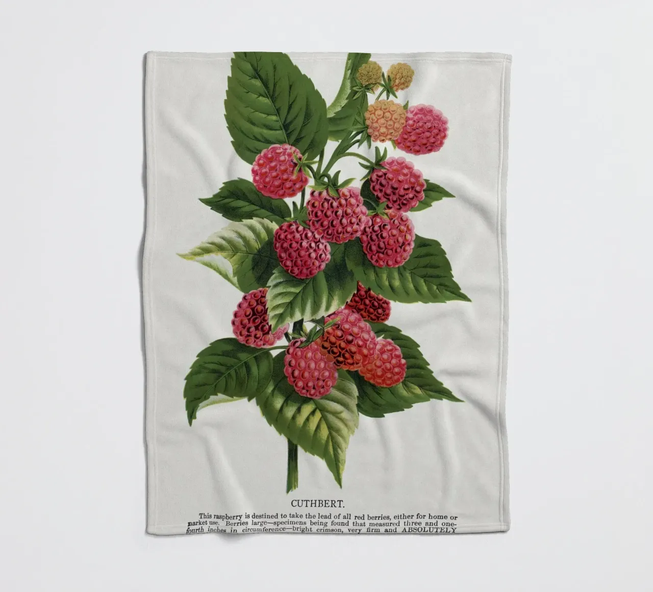 Cuthbert raspberry coperta in pile da vintageshop