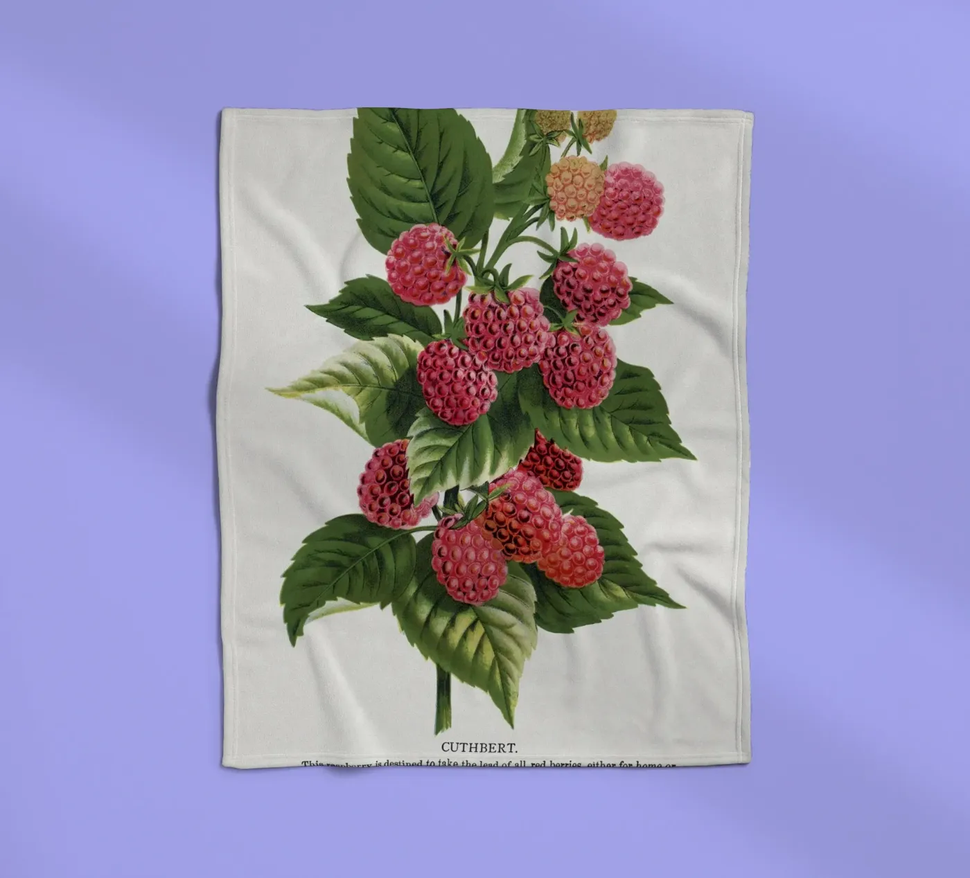 Cuthbert raspberry coperta in pile da vintageshop