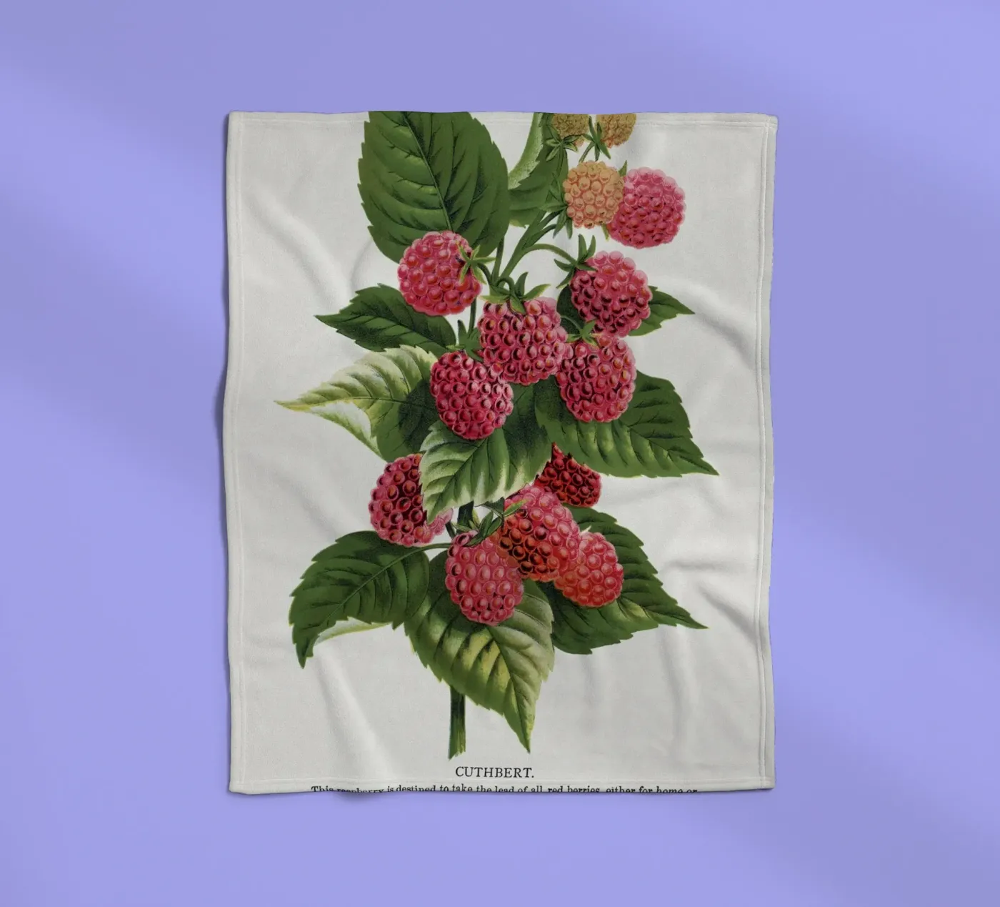 Cuthbert raspberry coperta in pile da vintageshop