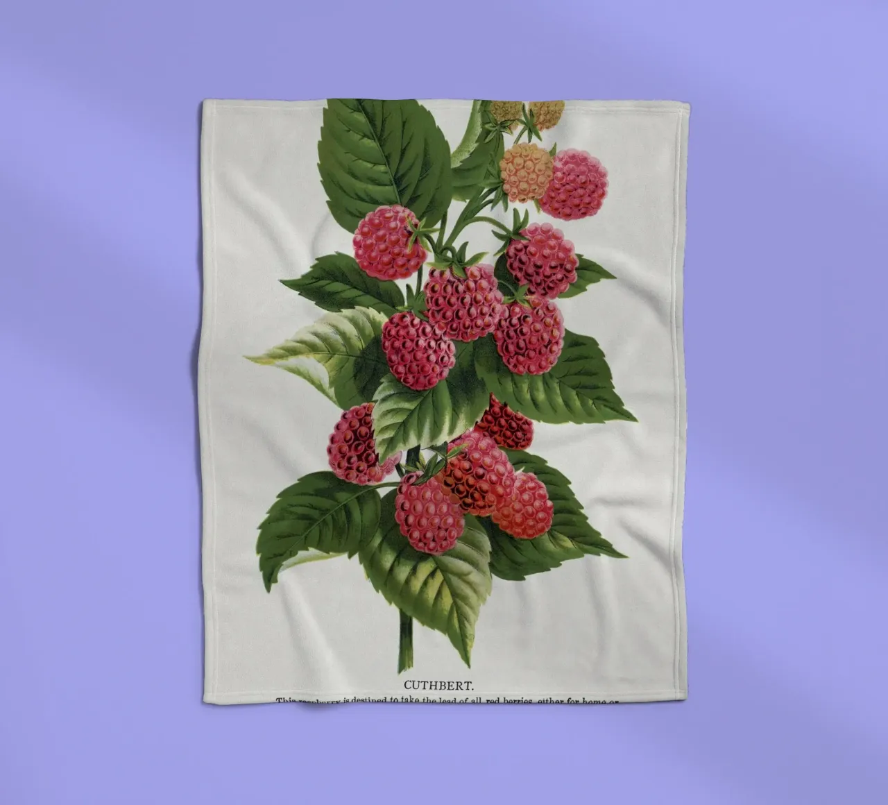 Cuthbert raspberry coperta in pile da vintageshop