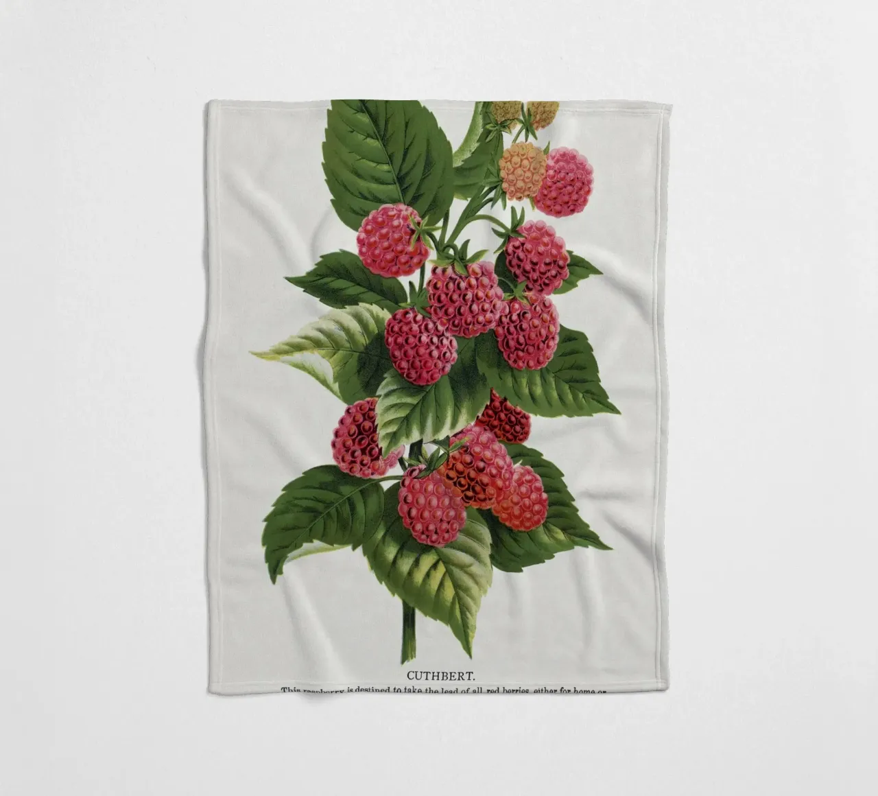 Cuthbert raspberry coperta in pile da vintageshop