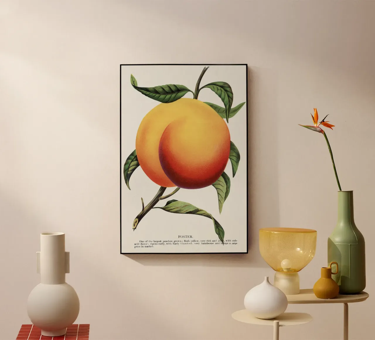 Foster peach plexiglass da vintageshop