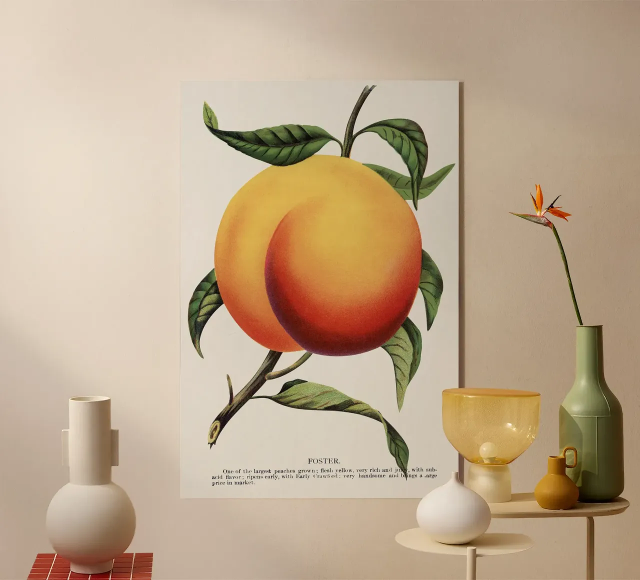 Foster peach plexiglass da vintageshop