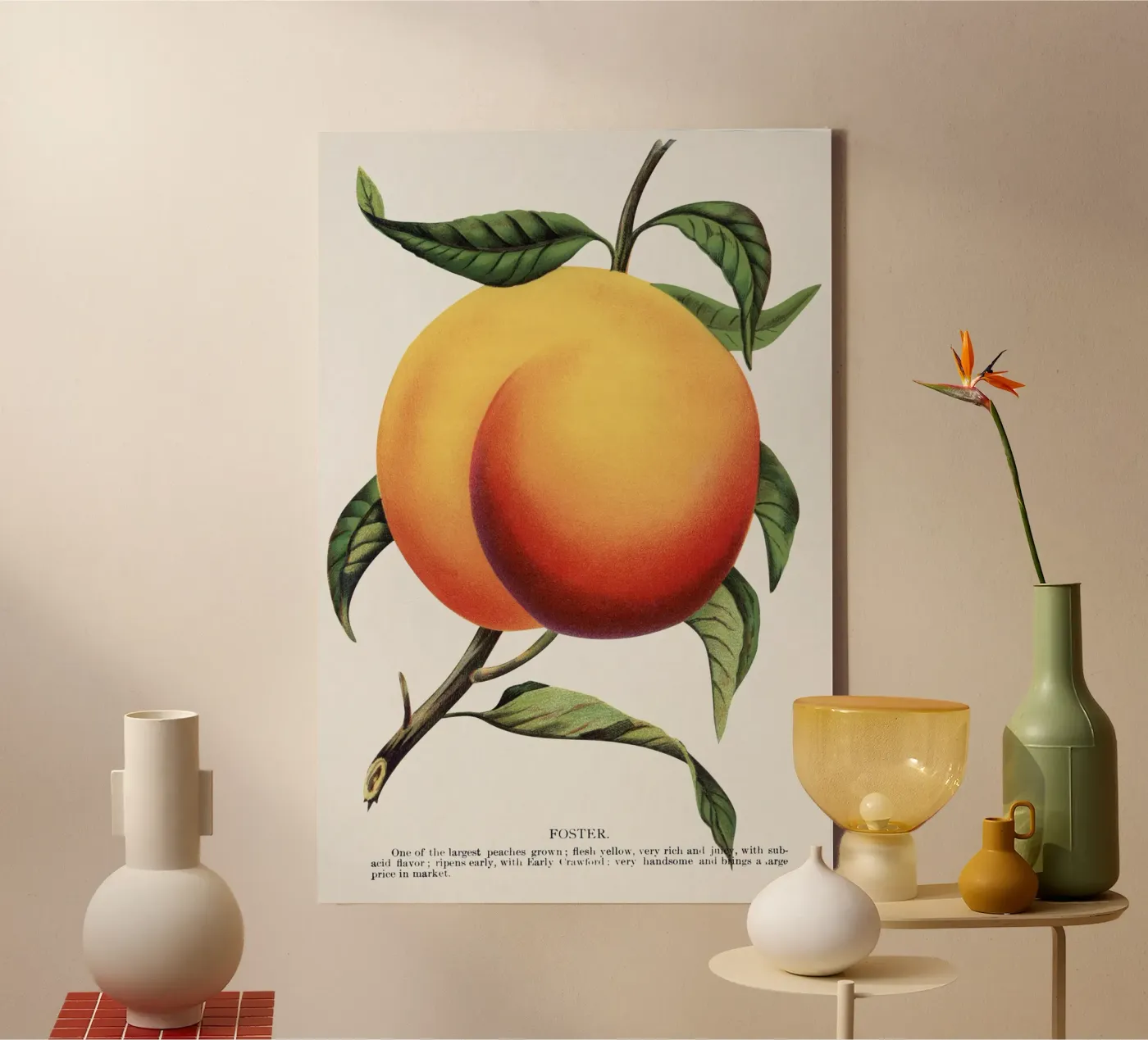 Foster peach tela da vintageshop