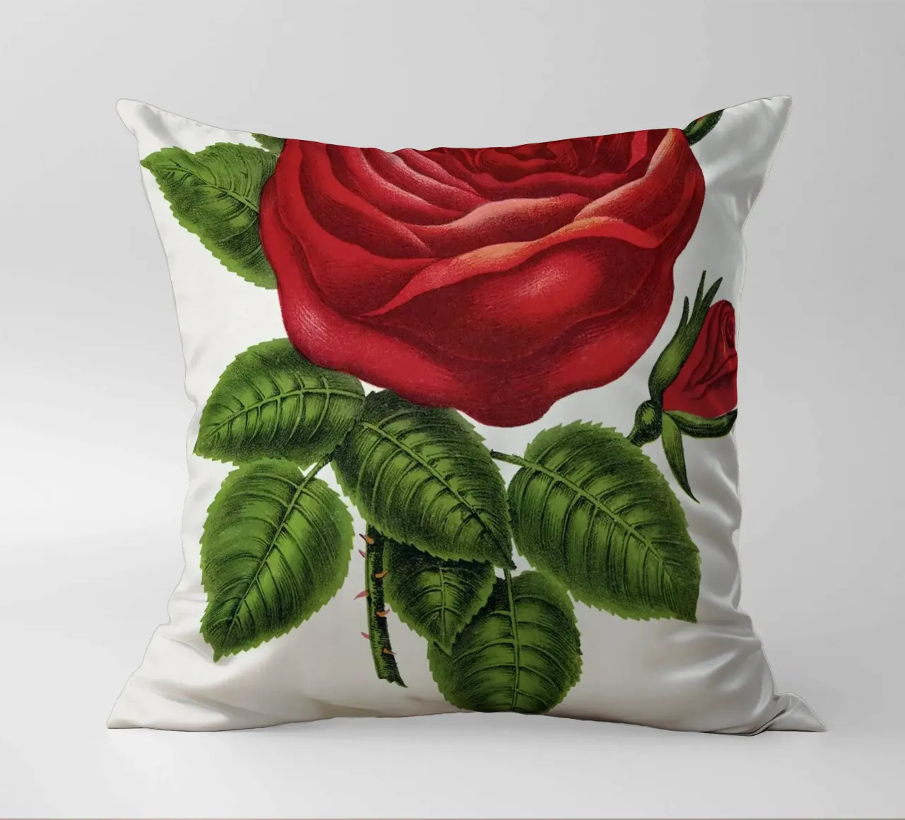 Red rose, General cuscino da vintageshop
