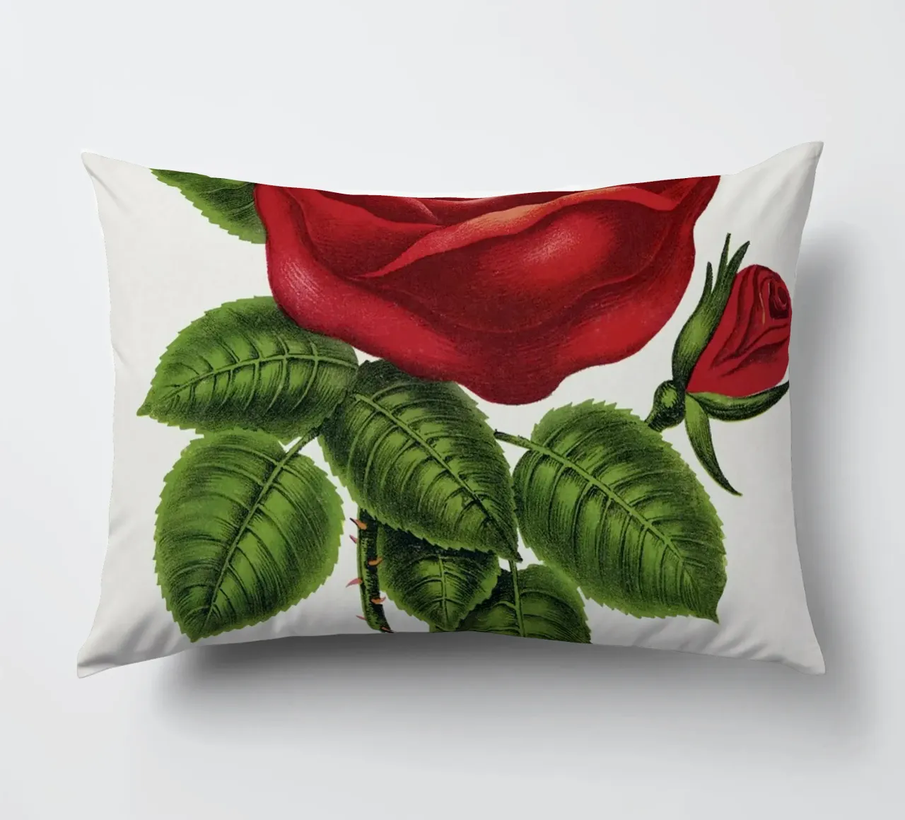 Red rose, General cuscino da vintageshop