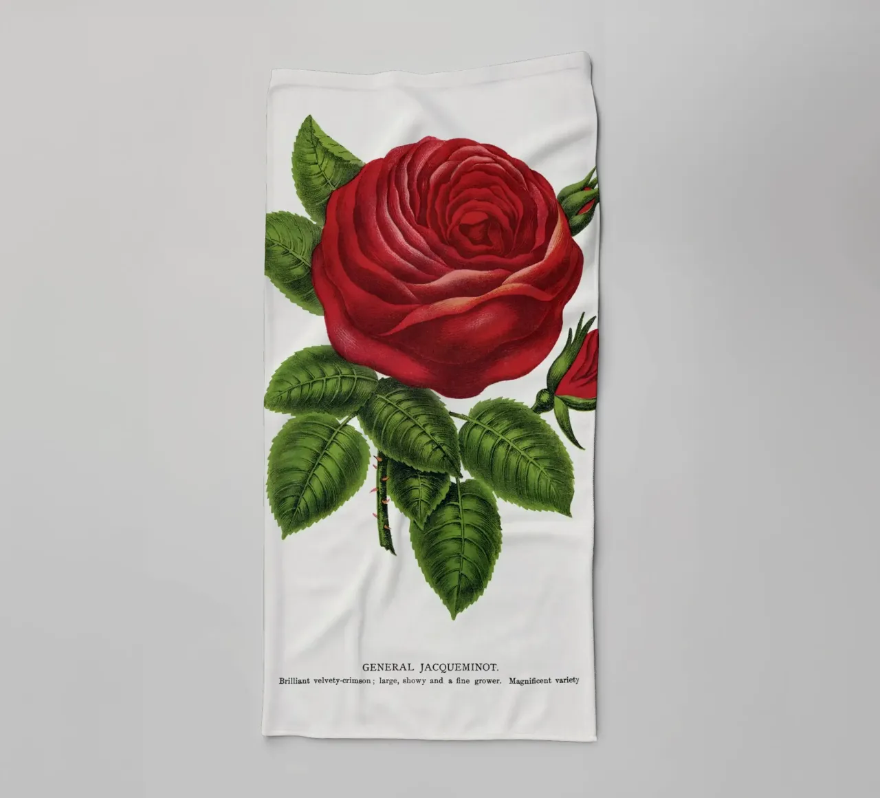 Red rose, General asciugamano da bagno da vintageshop