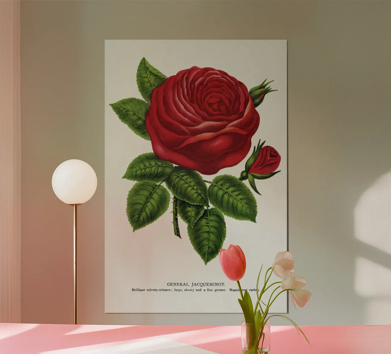 Red rose, General poster da vintageshop