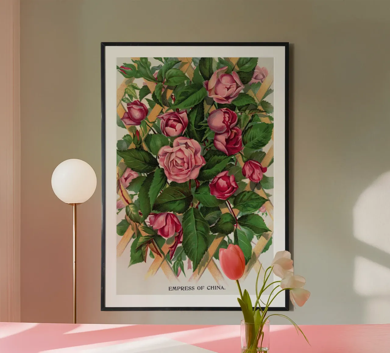 Empress of China rose poster con telaio in plastica da vintageshop