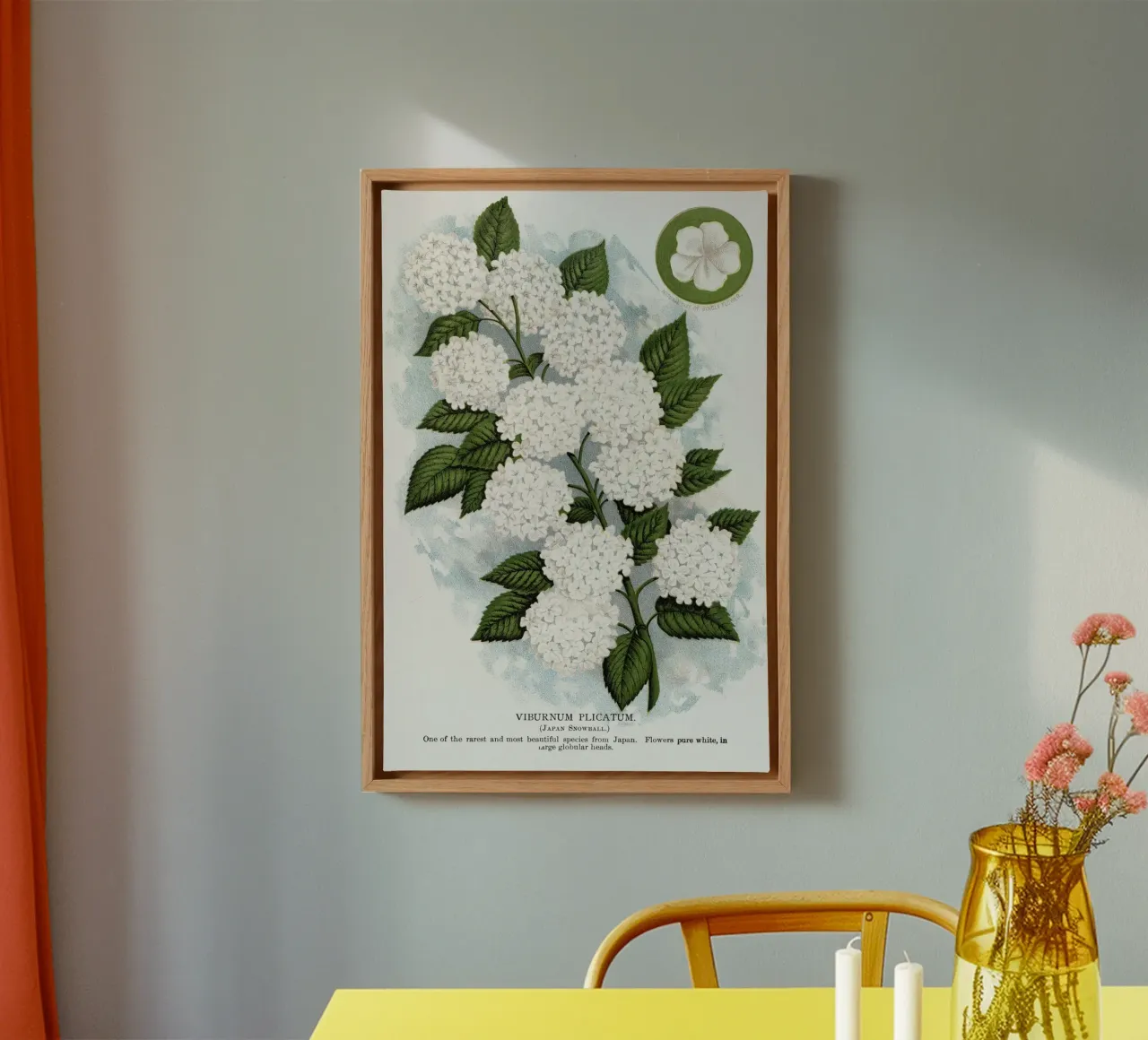 Japanese snowball flower tela con Cornice a cassetta da vintageshop