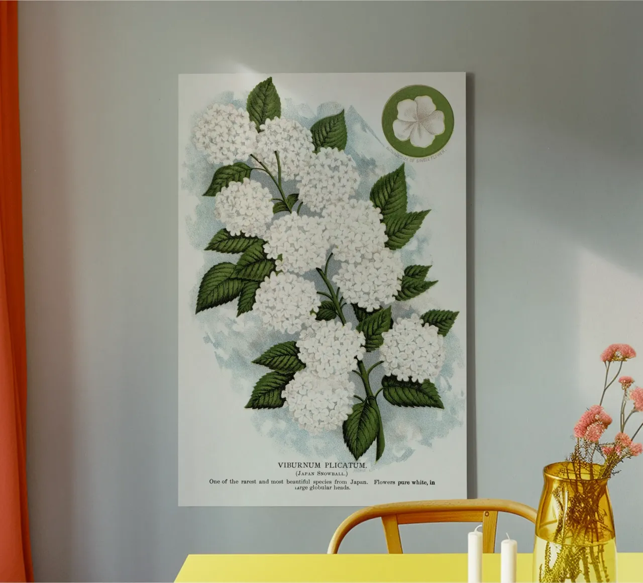 Japanese snowball flower tela con Cornice a cassetta da vintageshop