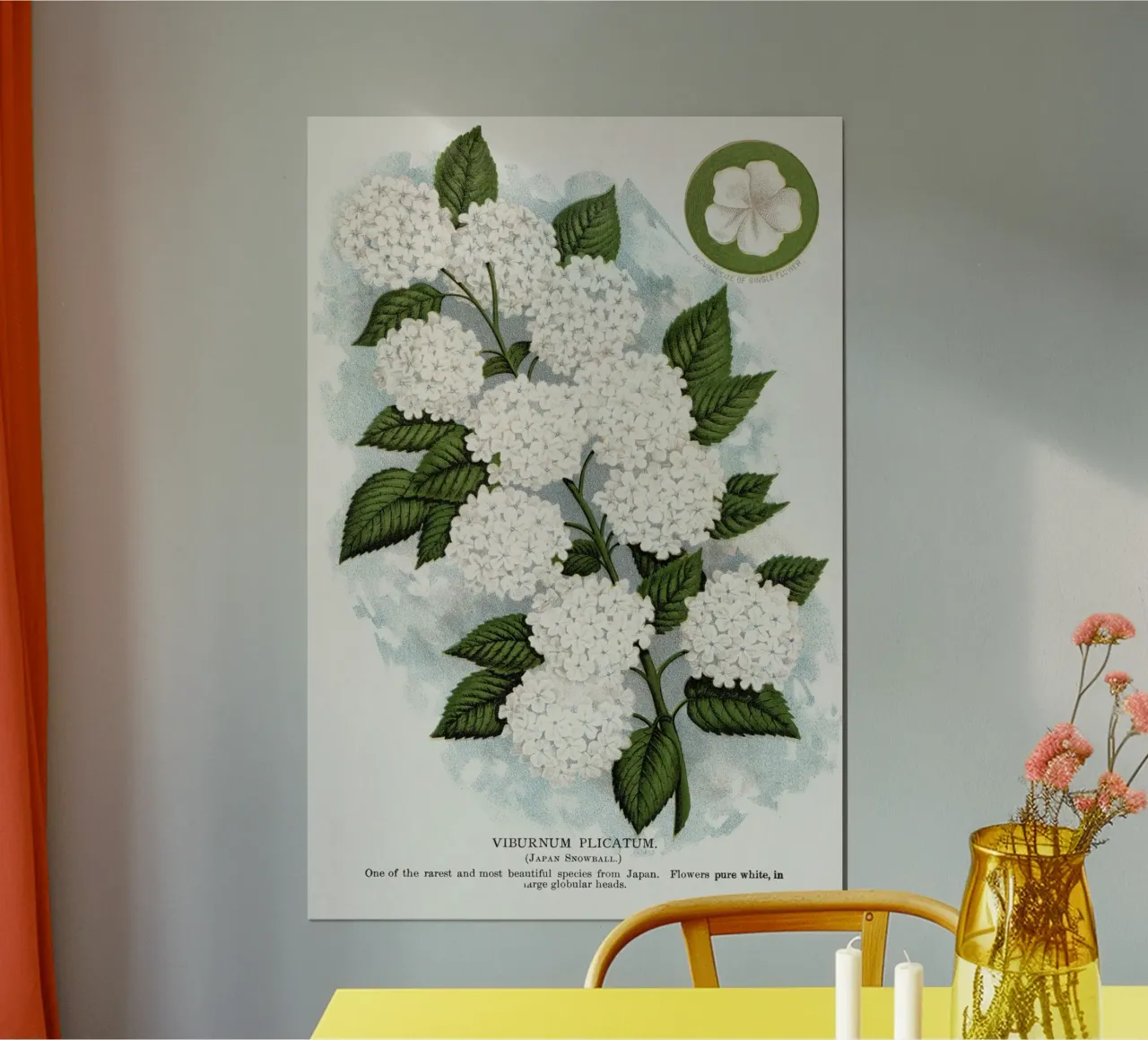 Japanese snowball flower poster con telaio in plastica da vintageshop