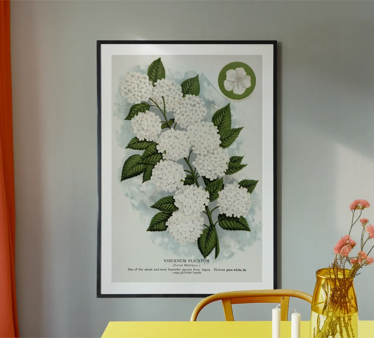 Japanese snowball flower poster con telaio in plastica da vintageshop