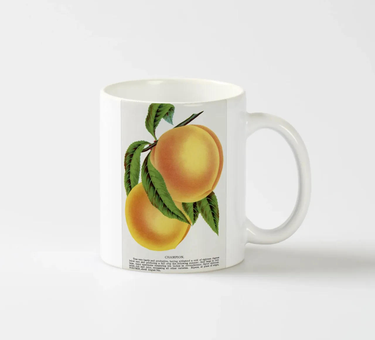 Champion plum tazza in ceramica da vintageshop