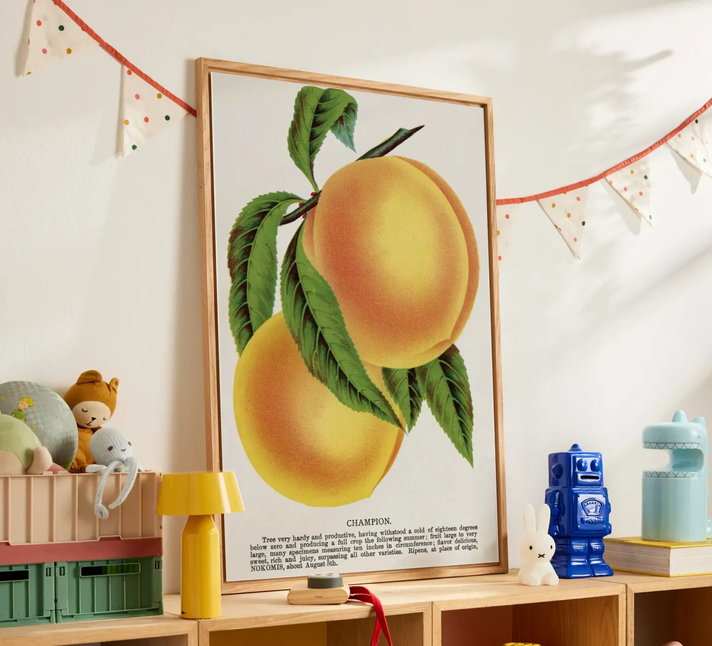 Champion plum plexiglass da vintageshop