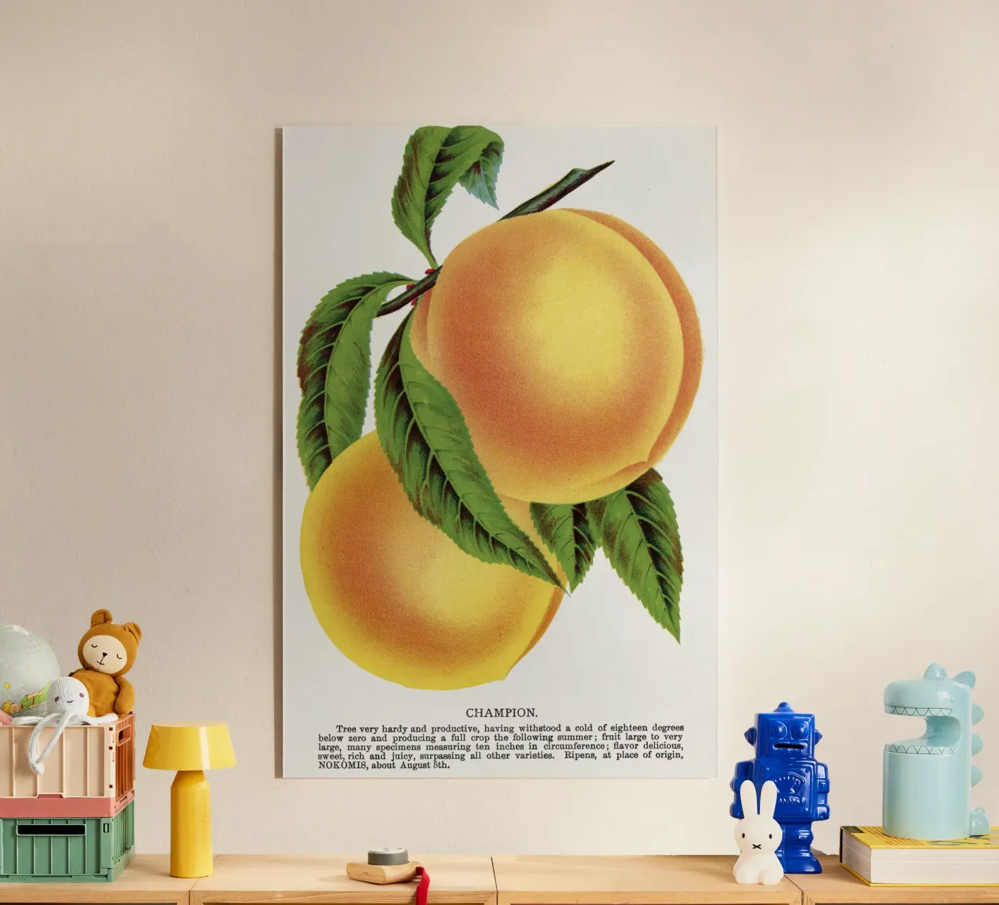 Champion plum plexiglass da vintageshop