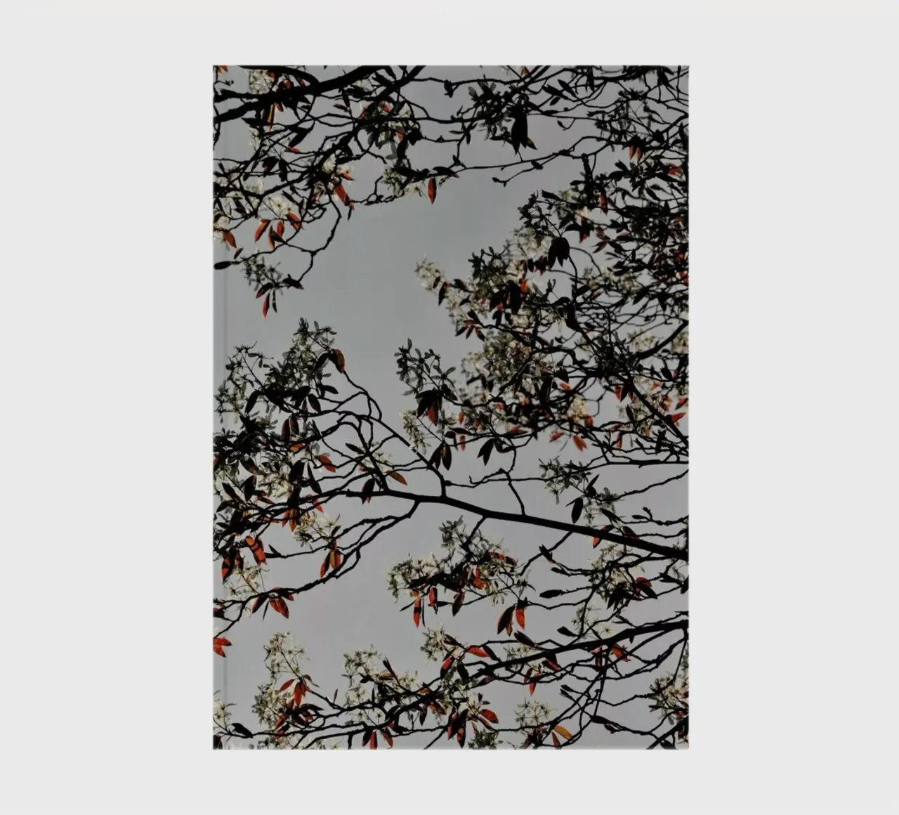 Grafic Spring And Flower Mood notebook by Studio Nahili