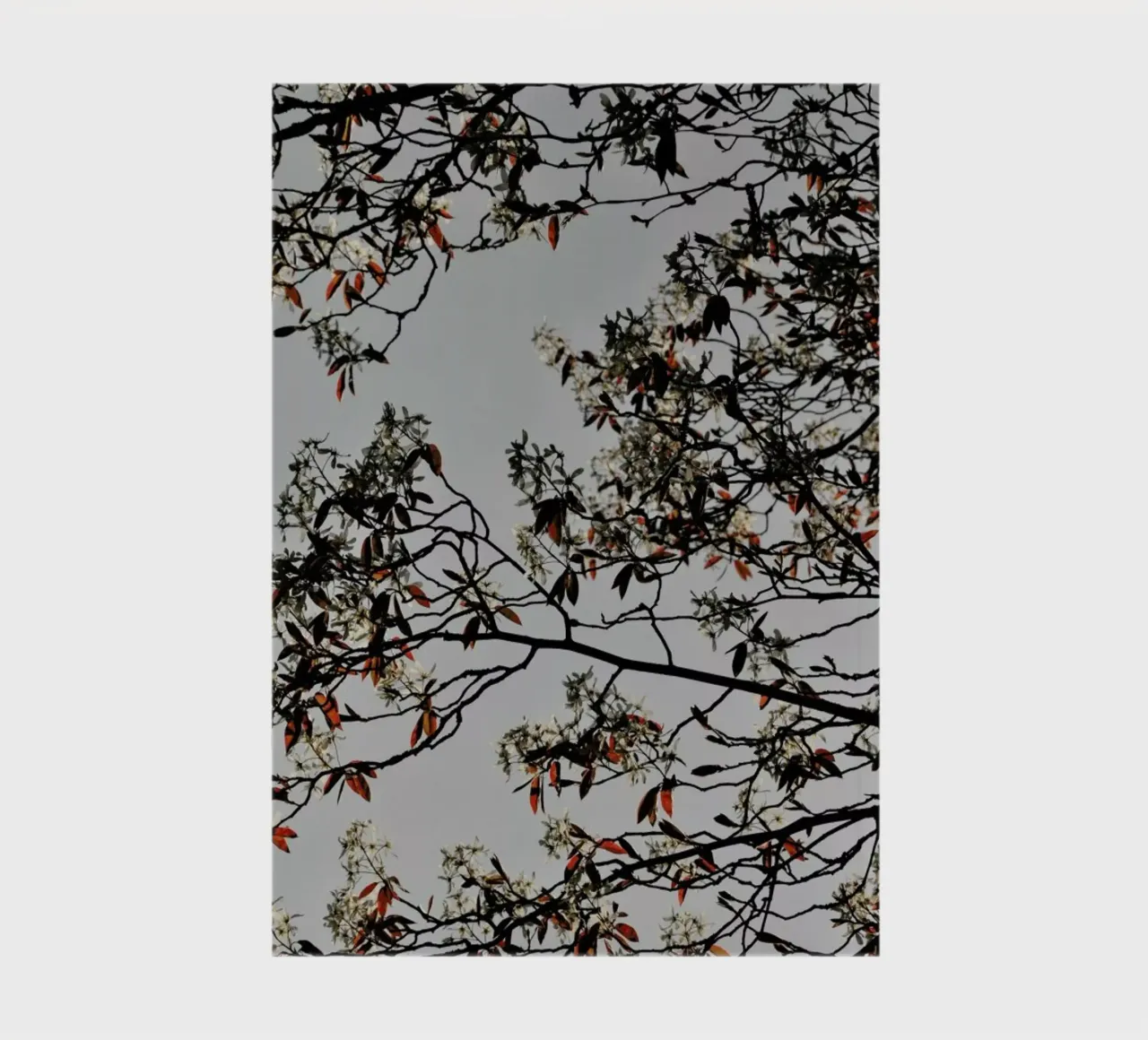 Grafic Spring And Flower Mood notebook by Studio Nahili