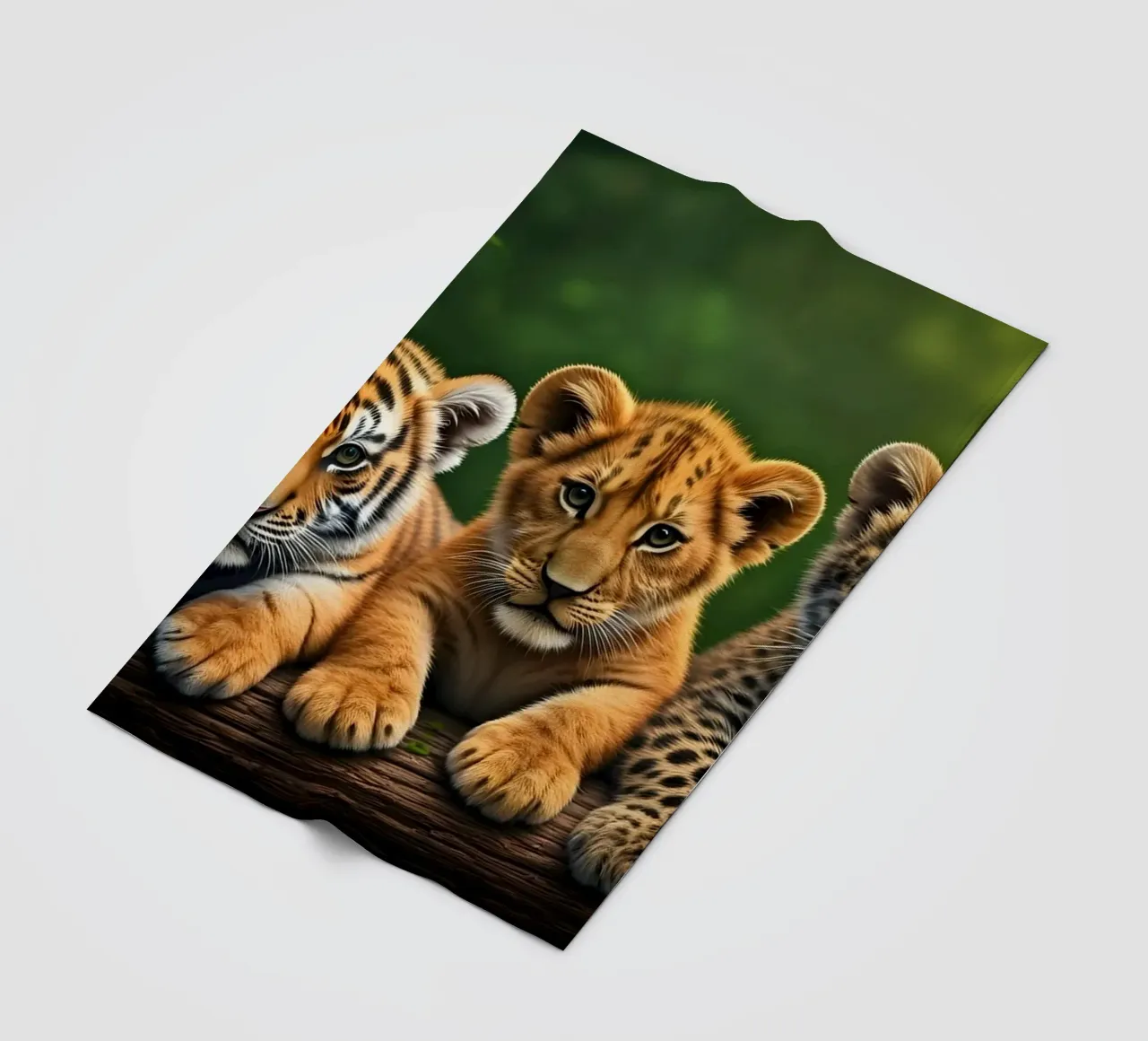 Teneri cuccioli di tigre, leone e leopardo coperta in pile da Wild Beauty