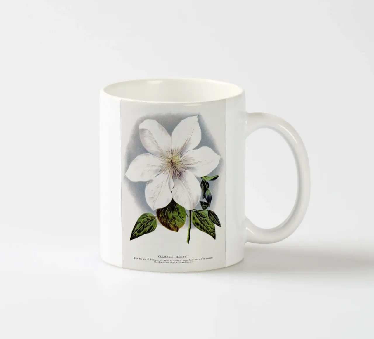 Clematis flower tazza in ceramica da vintageshop