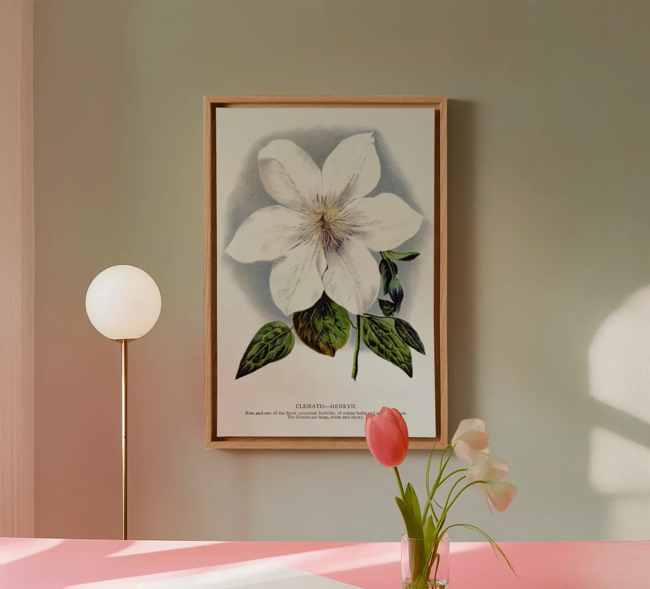 Clematis flower canvas met Baklijst van vintageshop