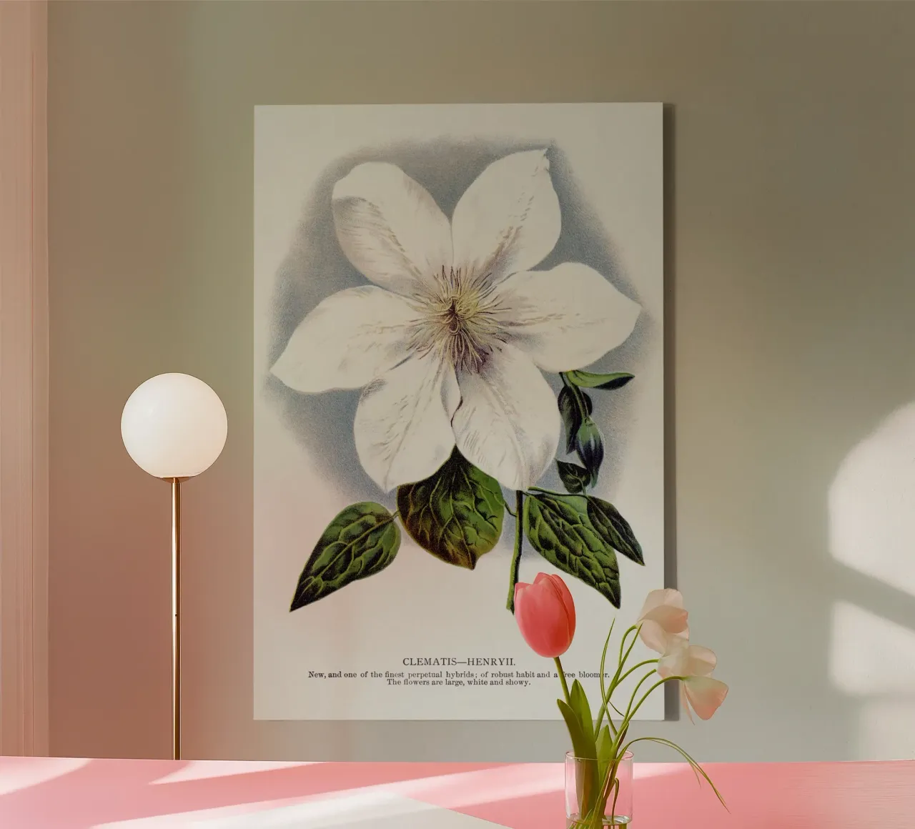 Clematis flower canvas met Baklijst van vintageshop
