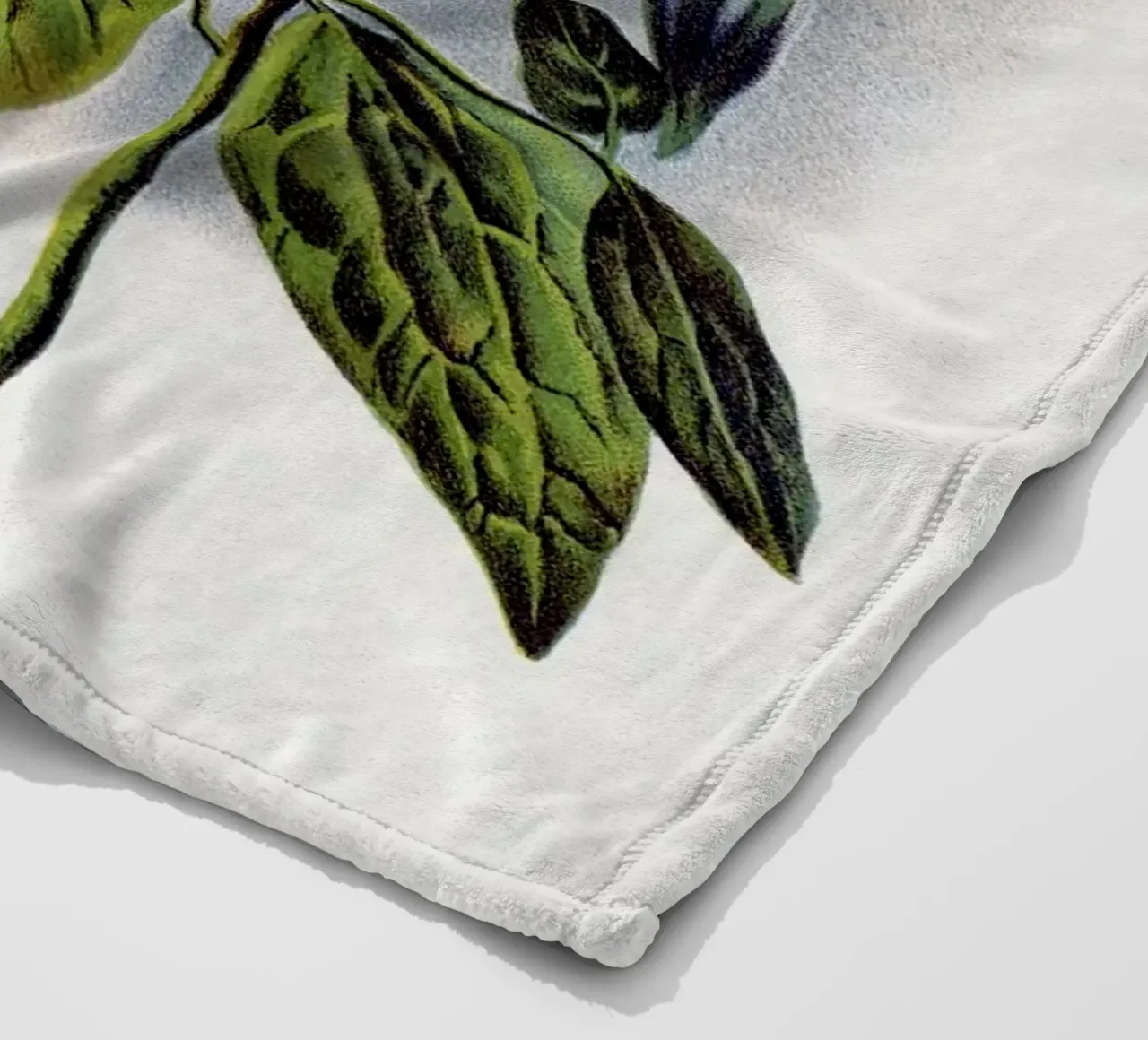 Clematis flower coperta in pile da vintageshop