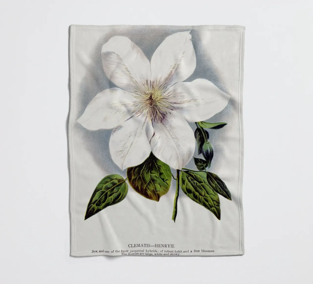 Clematis flower coperta in pile da vintageshop