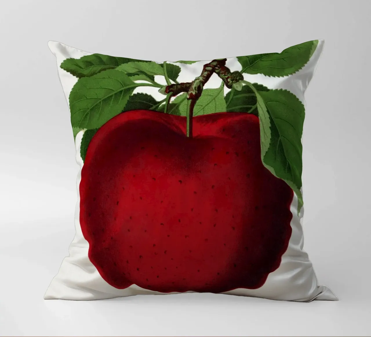 McIntosh Red apple cuscino da vintageshop