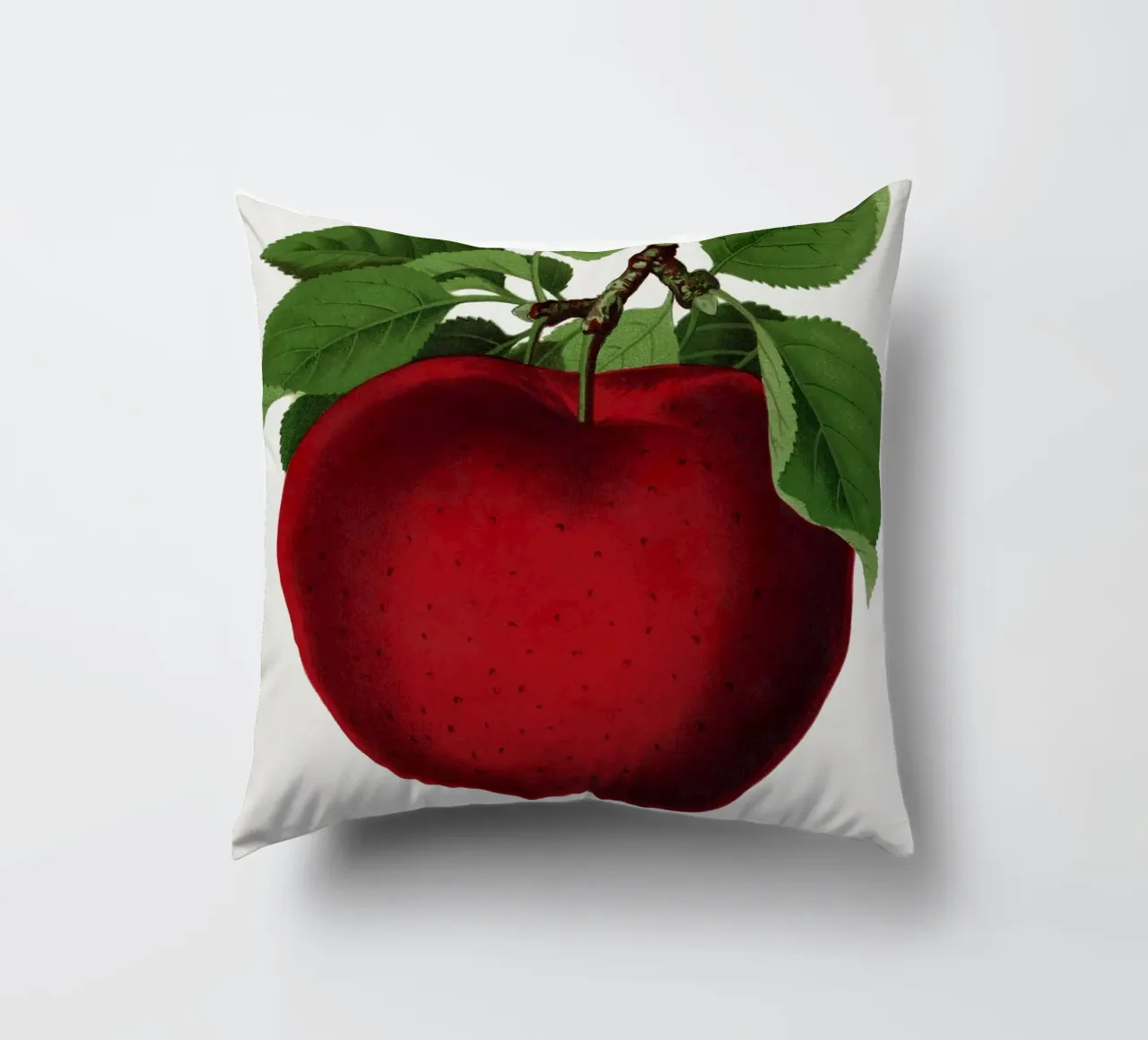McIntosh Red apple cuscino da vintageshop