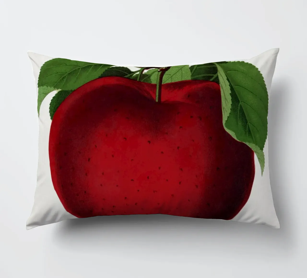 McIntosh Red apple cuscino da vintageshop