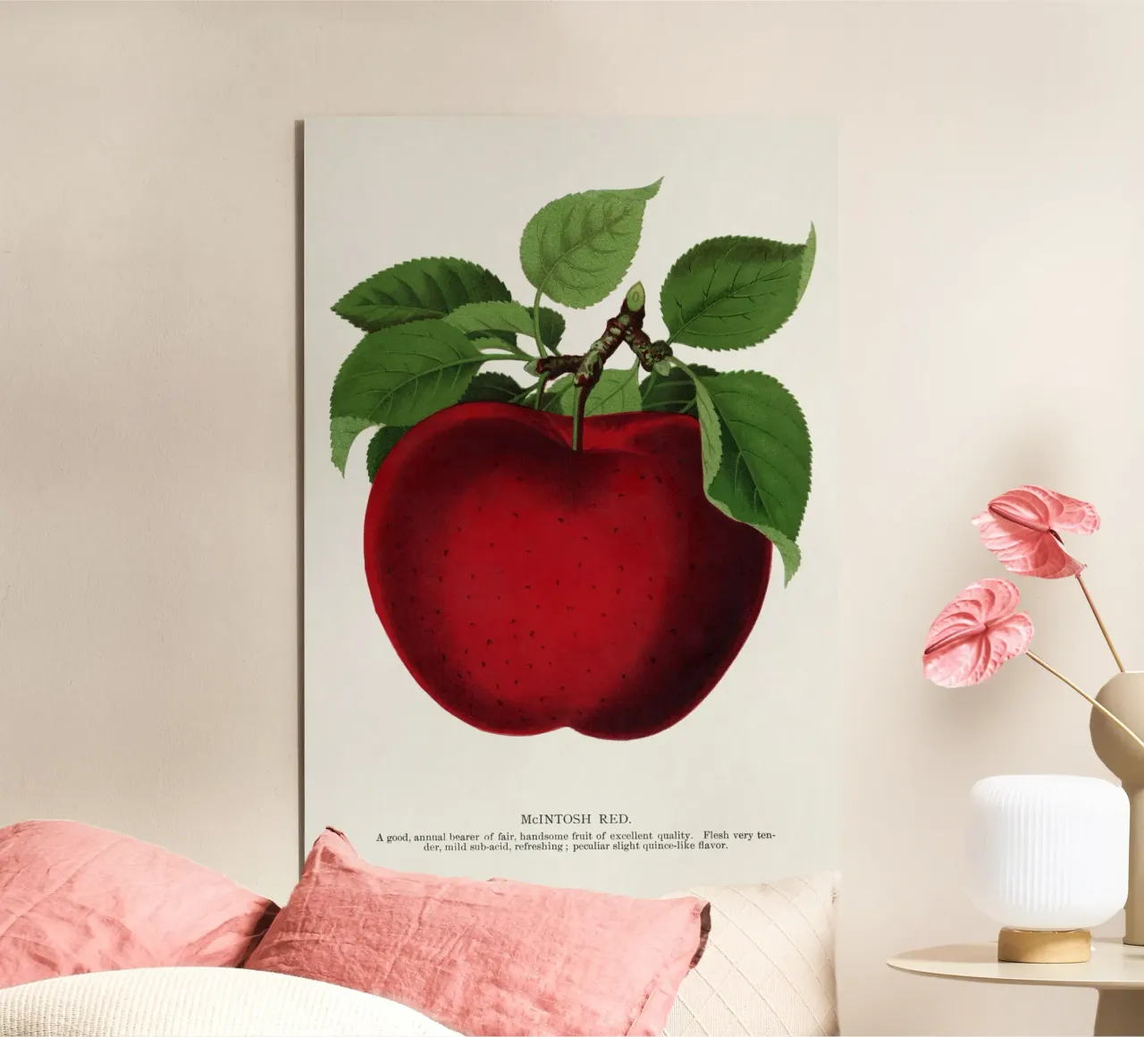 McIntosh Red apple alluminio dibond da vintageshop