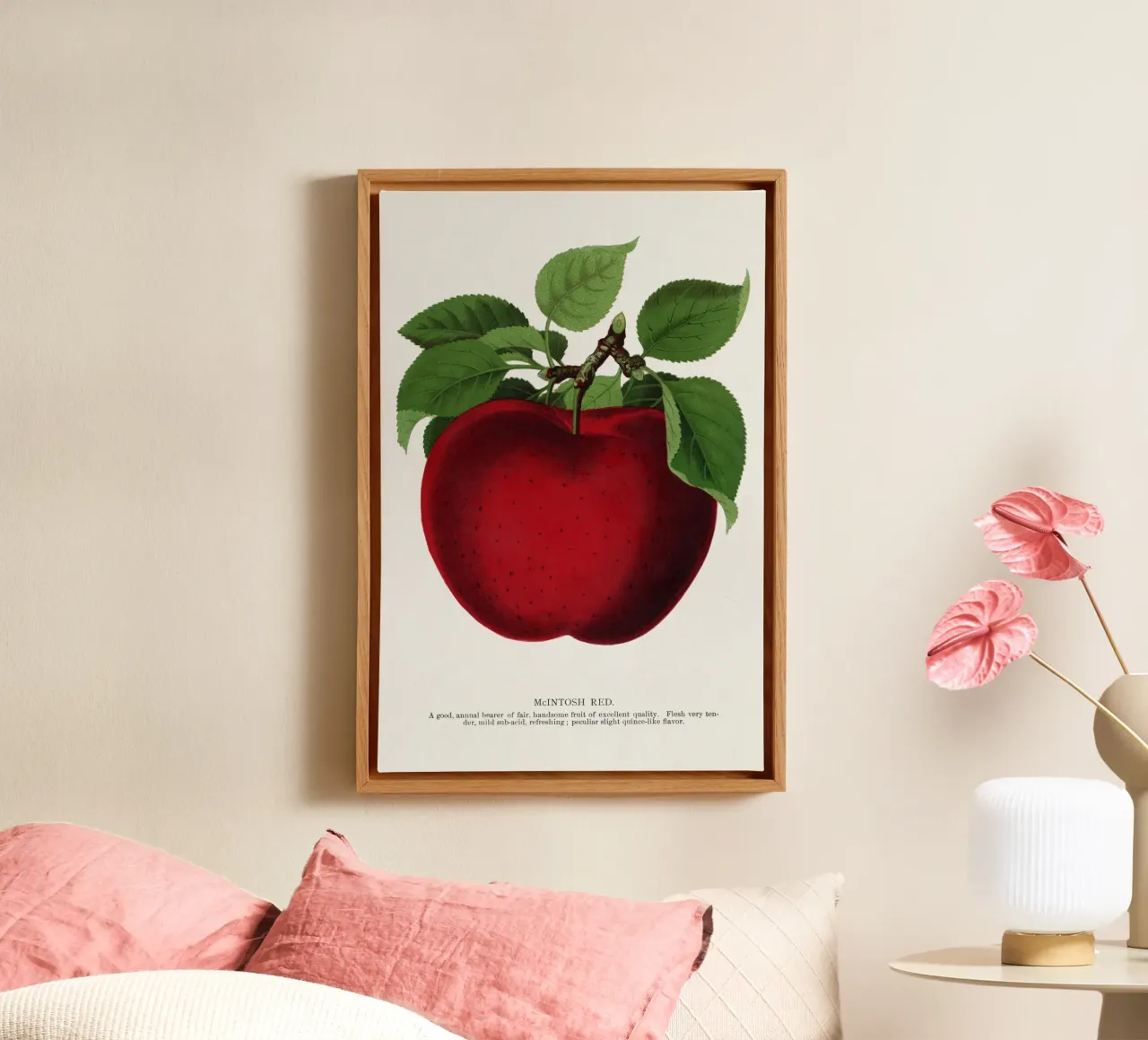 McIntosh Red apple tela con Cornice a cassetta da vintageshop